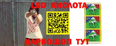 прущие грибы Ликино-Дулёво