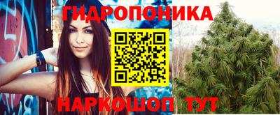 прущие грибы Ликино-Дулёво