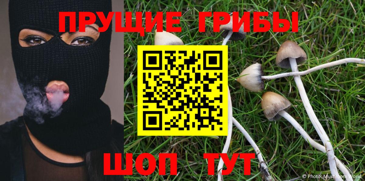 Галлюциногенные грибы мицелий  Галлюциногенные грибы Psilocybine cubensis  Вход с VPN  Заинск 