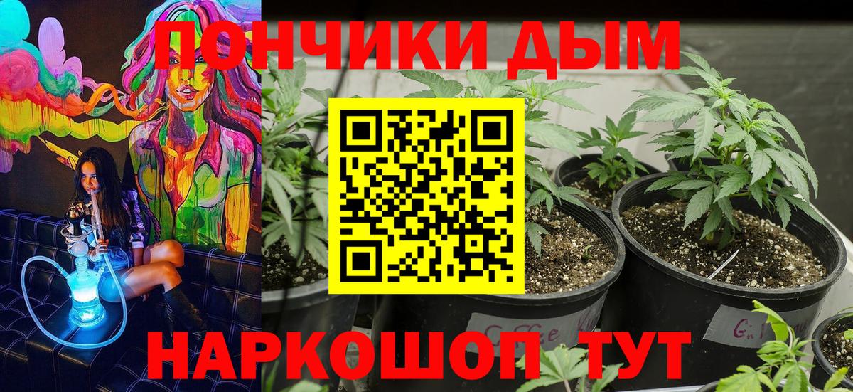 Шишки марихуана ГИДРОПОН Заинск